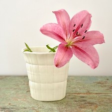 Vaso Gio Ponti per Richard