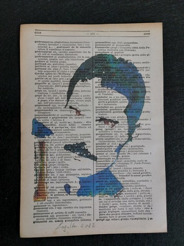 Pasquale lagatta freddy - lagatta,