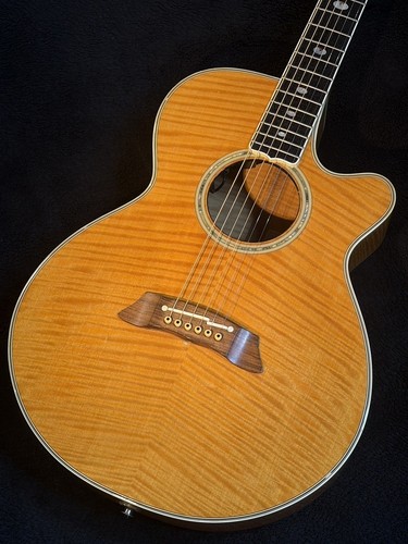 Takamine npt 115 chitarra - npt-115,
