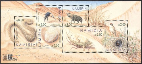 Namibia 2000 namib - namibia,