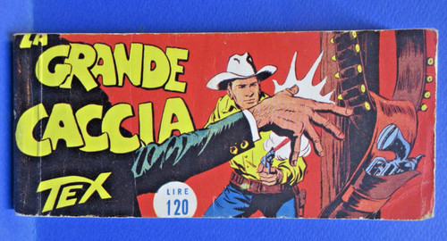 Tex raccoltina striscia - raccoltina,