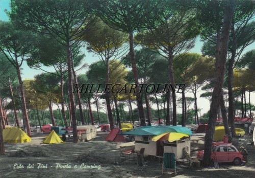 Lido dei pini - lido,
