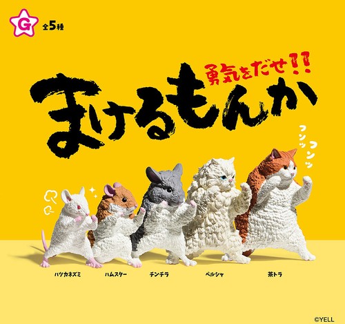 Makerumonka animali - makerumonka,