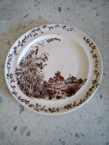 Piatto ceramica inglese