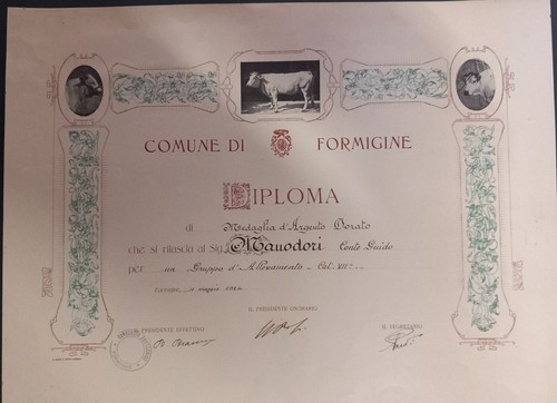 Diploma comune formigine - diploma, di