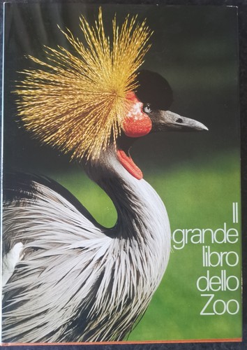 Grande libro dello zoo - grande,