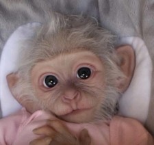 Scimmia bambino in silicone