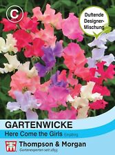 Stoppino da giardino 'Here come the Girls' - Lathyrus odoratus, Wicken, semi, 52065