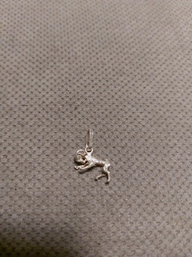 Ciondolo argento segno - in,