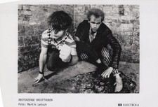 Colombe Da Corsa Foto In