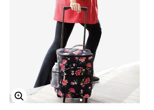 Portable trolley