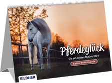 Calendario Con Cavalli 2024