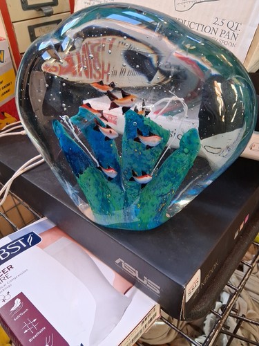 Grande scultura acquario - , pesci