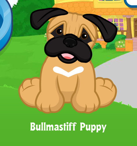 Webkinz bullmastiff cucciolo - webkinz,