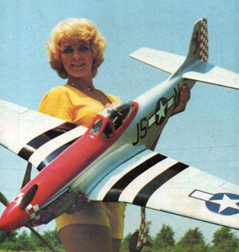 Aereo radiocomandato scala
