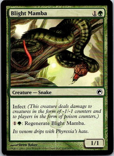 Magic the gathering - the, blight