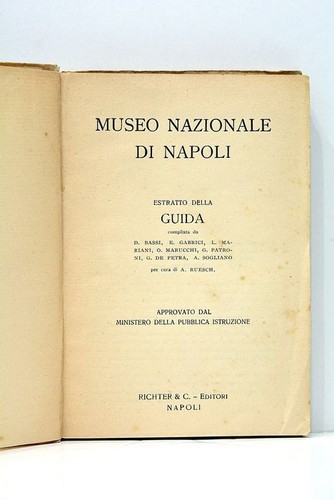 Guida del museo - guida,