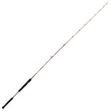 Canna Colmic Yamarappi Raba