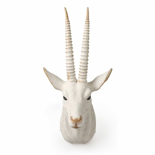 Testa antilope resina - testa,