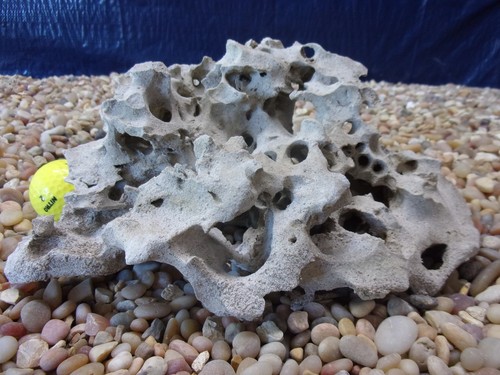 Texas holey rock - 05#, texas/tn