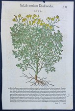 Stampa antica 1565 pietro