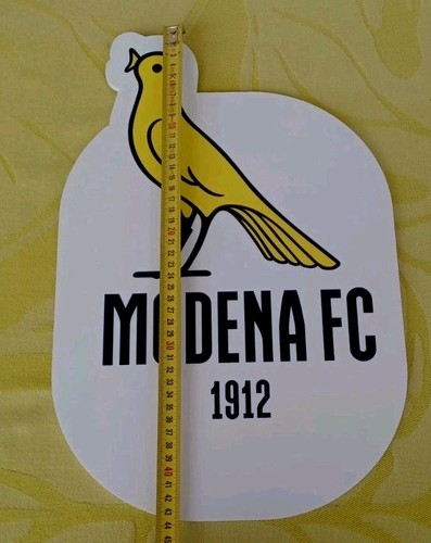 Grande stemma modena - stemma,