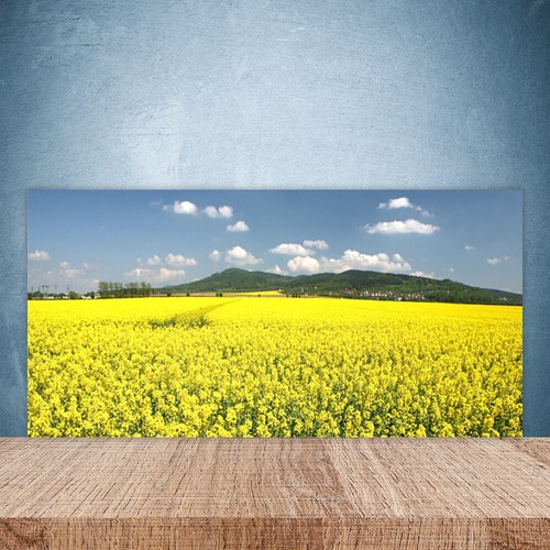 Paraschizzi cucina 100x50 - paraschizzi,