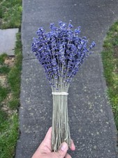 Dried Royal Velvet English