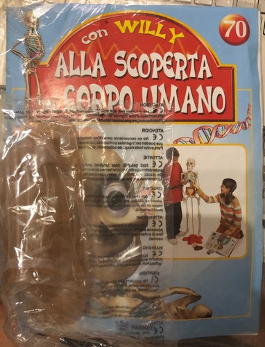 Alla scoperta del corpo umano