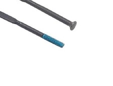 (TG. Media) Shimano, Raggio