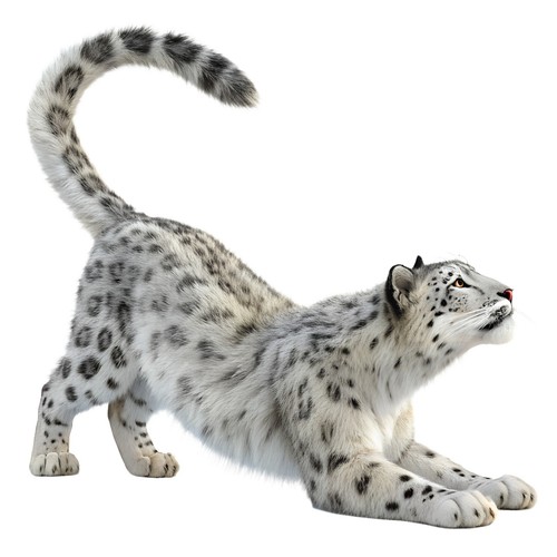 Adesivi leopardo delle nevi - delle,