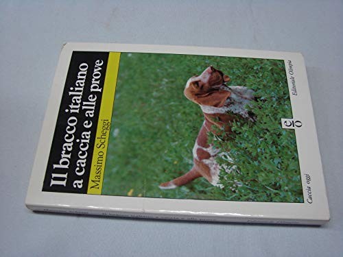 Bracco italiano caccia e - bracco,