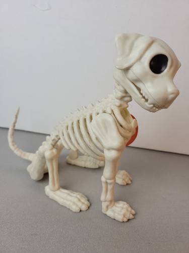 Mini scheletro cane posabile