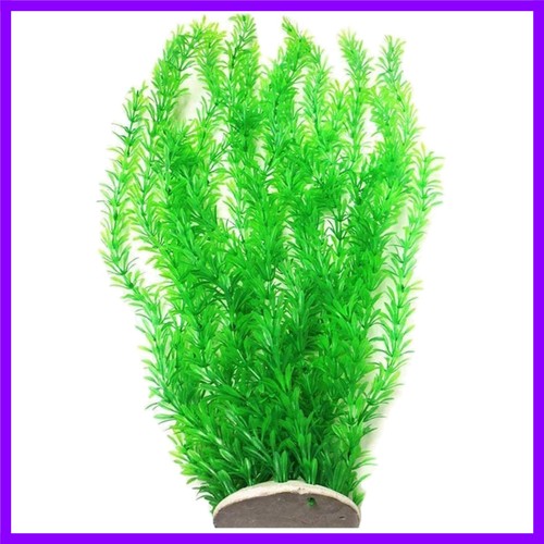 Erba verde alta - , 10/23