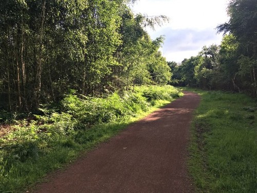 Photo 6x4 ncn route 647 - 6x4,