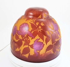 Cameo glass table - table, shade