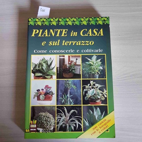 Piante casa sul terrazzo - casa, e