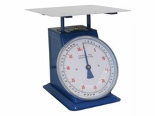 Bilancia a sfera portata 30kg - piatto piano inox - divisione 100gr