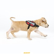 Pettorina JULIUS K9  Vari