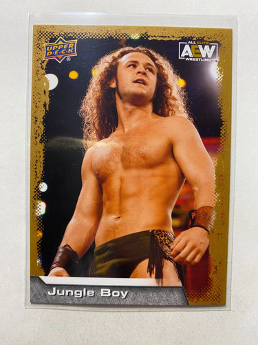 Jungle boy 2022 - deck, aew