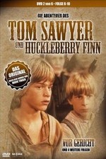 Tom Sawyer  Huckleberry Finn DVD 2 (Folge 6-10) von... | DVD | Zustand sehr gut