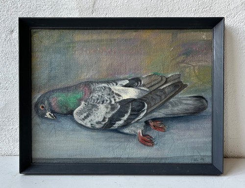 Quadro olio colomba morta