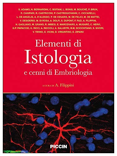 Libro nuovo copertina - libro,