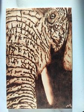 Quadro Elefante Pirografia Su Legno disegno arte natura animali wild adventure