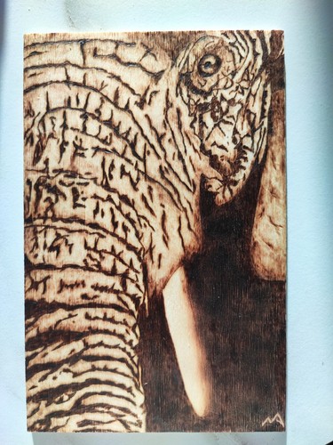 Quadro elefante pirografia - quadro, su