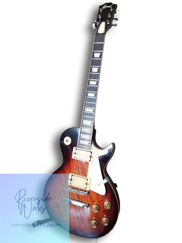 Vision 250 les - paul, type
