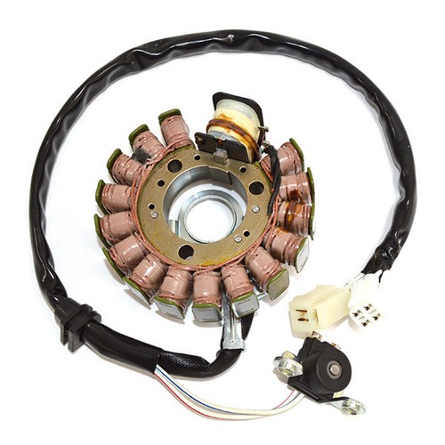Statore magnete poli 163061 - magnete,
