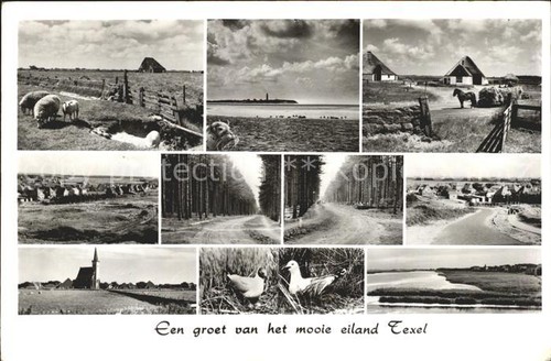 Texel landschaft wald strand - texel,