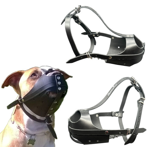 Nuova museruola per cani - , in