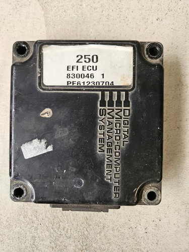 Centralina mercury efi ecu - centralina,